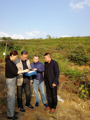 岳陽審計局開發區分局嚴把環保督查項目復核關